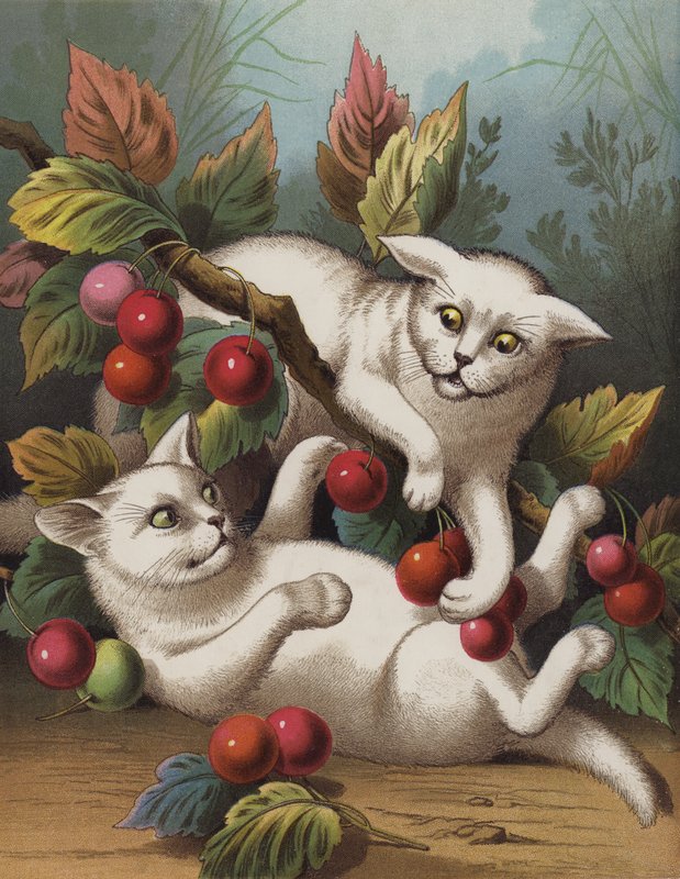 The Cross Kitten (chromolitho) tekijältä English School