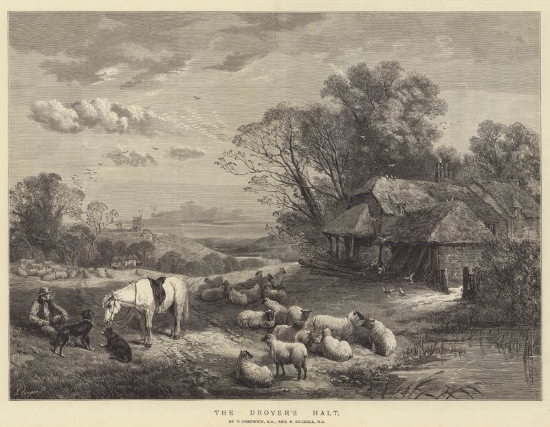 The Drover