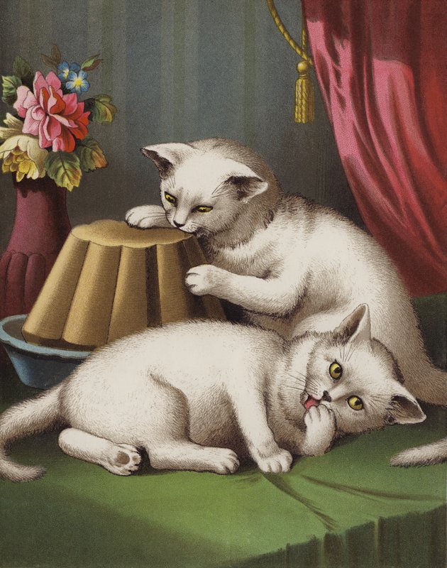 The Greedy Kitten (chromolitho) tekijältä English School