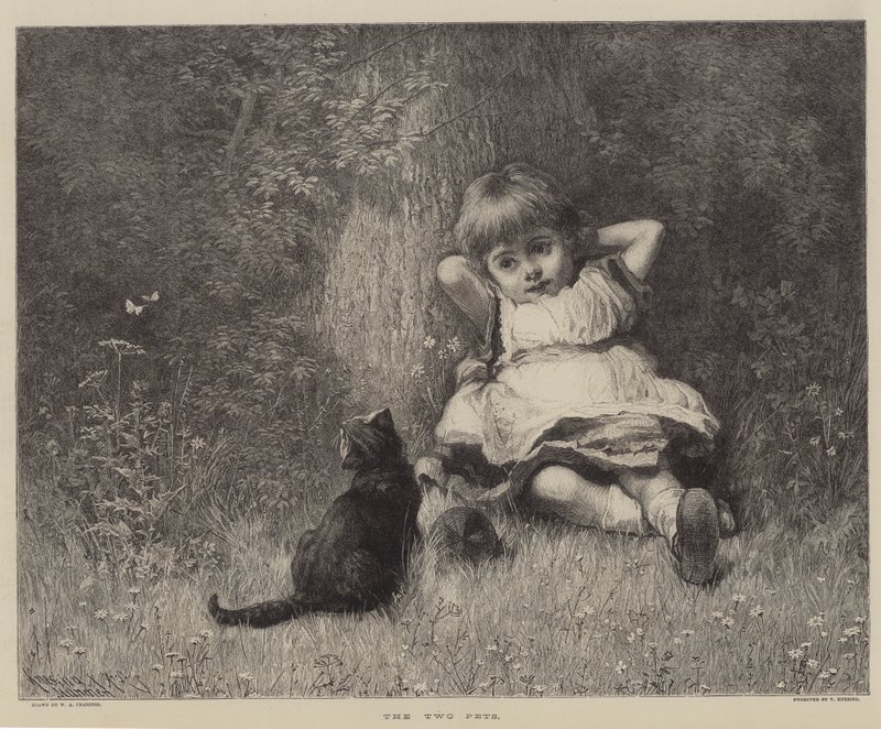 The Two Pets (kaiverrus) tekijältä English School