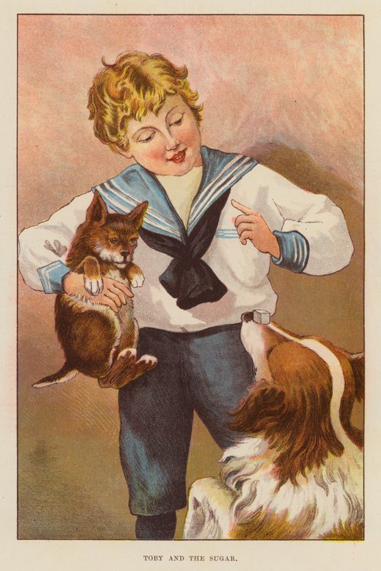 Toby ja sokeri (väri litho) tekijältä English School