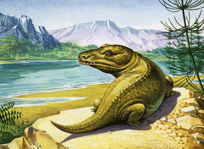 Tunnistamaton krokotiilin kaltainen dinosaurus tekijältä English School