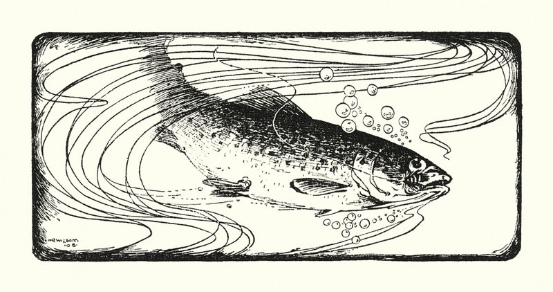 Lohi koukussa (litografia) tekijältä Ernest Edward Briggs