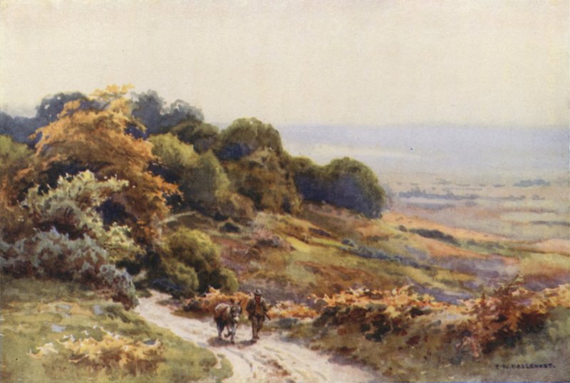 Burley Moor (väri litho) tekijältä Ernest William Haslehust