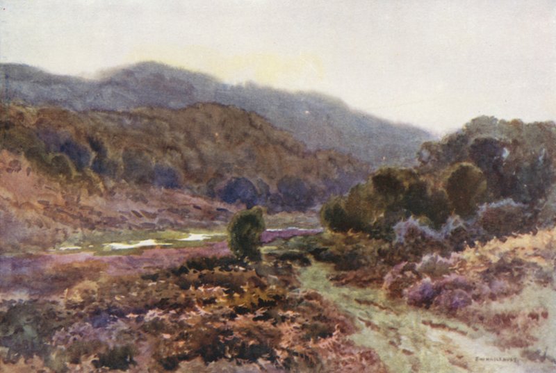 Kirjailija: Broomy Water (väri litho) tekijältä Ernest William Haslehust