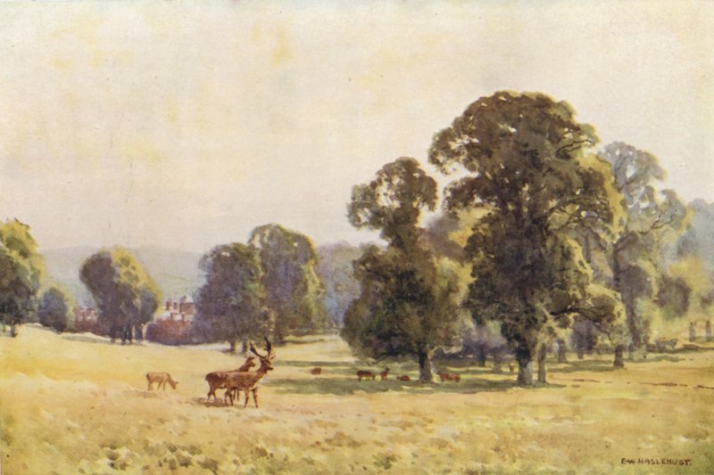 Cobham Park (väri litho) tekijältä Ernest William Haslehust