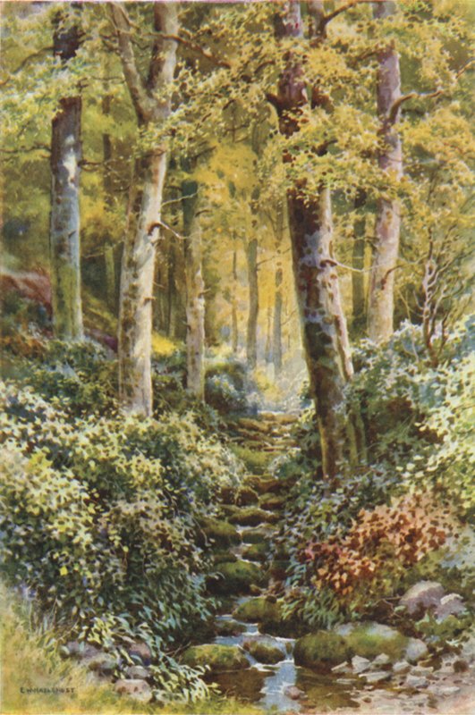 Fairlight Glen (väri litho) tekijältä Ernest William Haslehust
