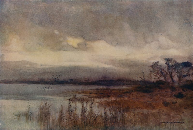 Hickling Broad (väri litho) tekijältä Ernest William Haslehust