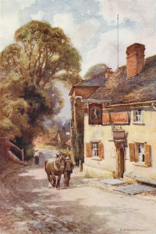 Nahkapullo, Cobham (väri litho) tekijältä Ernest William Haslehust