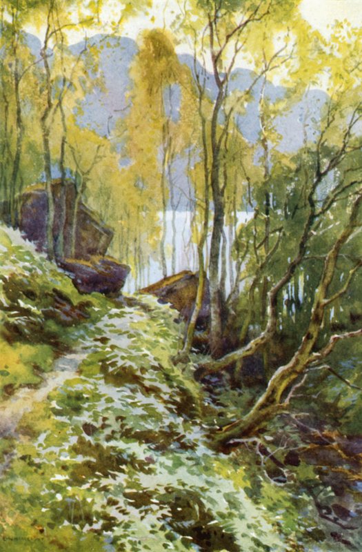 Vanha sola, Trossachs (väri litho) tekijältä Ernest William Haslehust