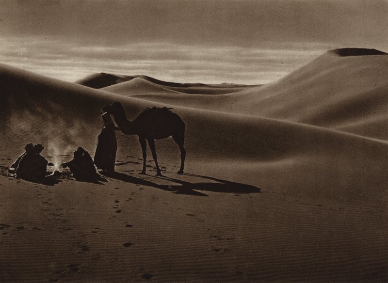 Ilta aavikolla (s/w-kuva) tekijältä European Photographer