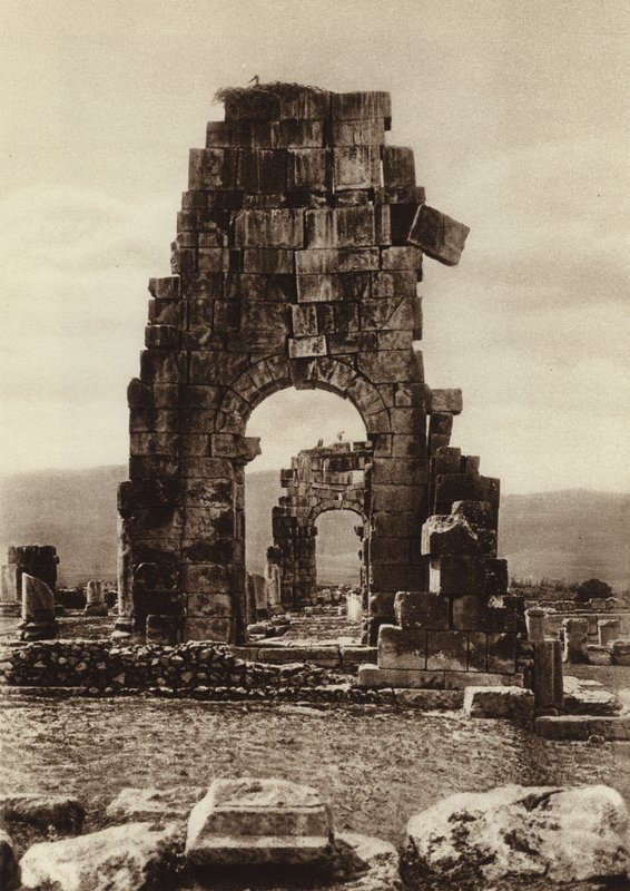 Volubilillit, Hadrianuksen temppelin rauniot (m/v kuva) tekijältä European Photographer