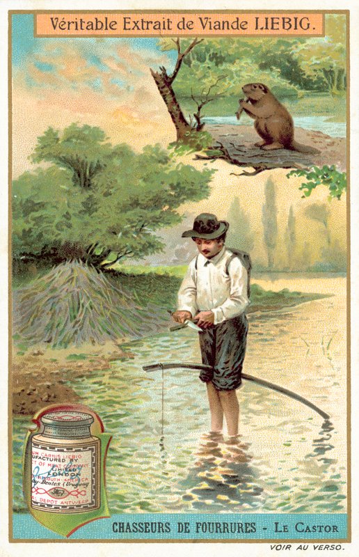 Majavan pyydystäjä (chromolitho) tekijältä European School