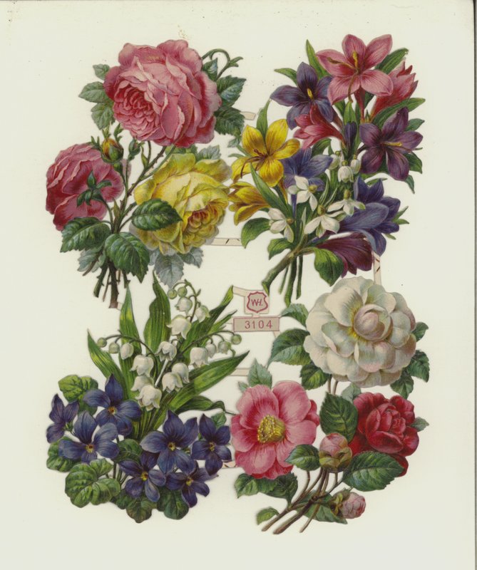 Kukat (chromolitho) tekijältä European School