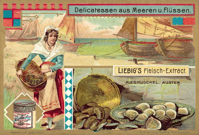 Sinisimpukat ja osterit (chromolitho) tekijältä European School