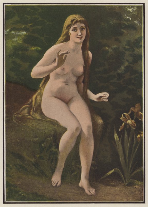 Nightingalen laulu (väri litho) tekijältä European School