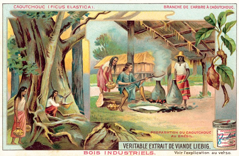 Kumipuu (chromolitho) tekijältä European School
