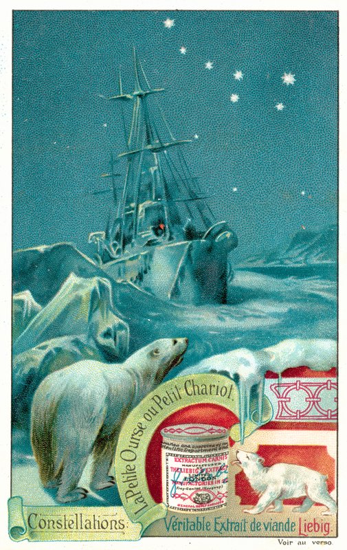 Ursa Minor (chromolitho) tekijältä European School