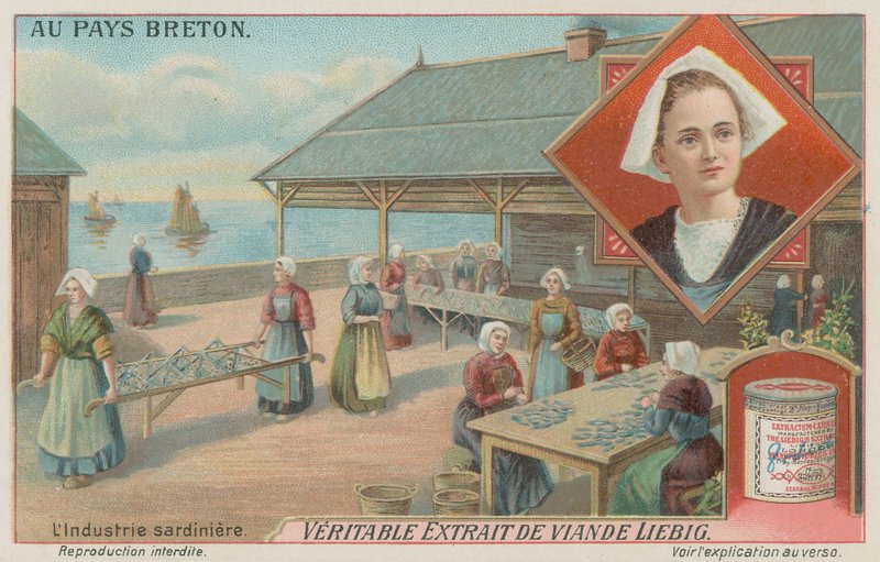 Naiset valmistavat sardiineja (chromolitho) tekijältä European School