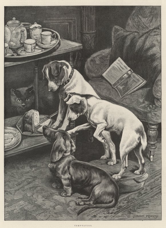 Temptation tekijältä Fannie Moody