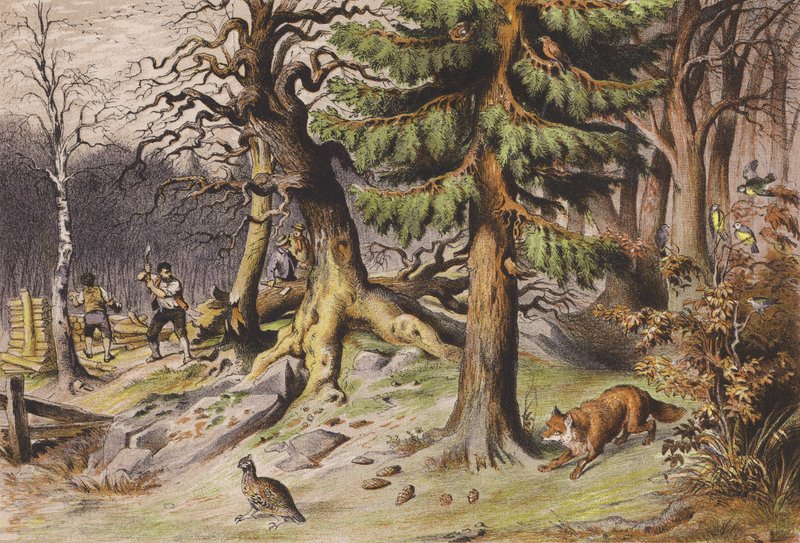 Tammikuu (värilitro) tekijältä Ferdinand Karl Klimsch