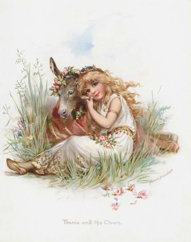 Titania ja klovni (chromolitho) tekijältä Frances Brundage