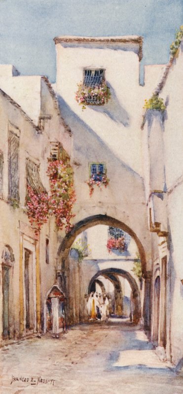 Rue Tourbet el Bey, Tunis (värilitro). tekijältä Frances Nesbitt