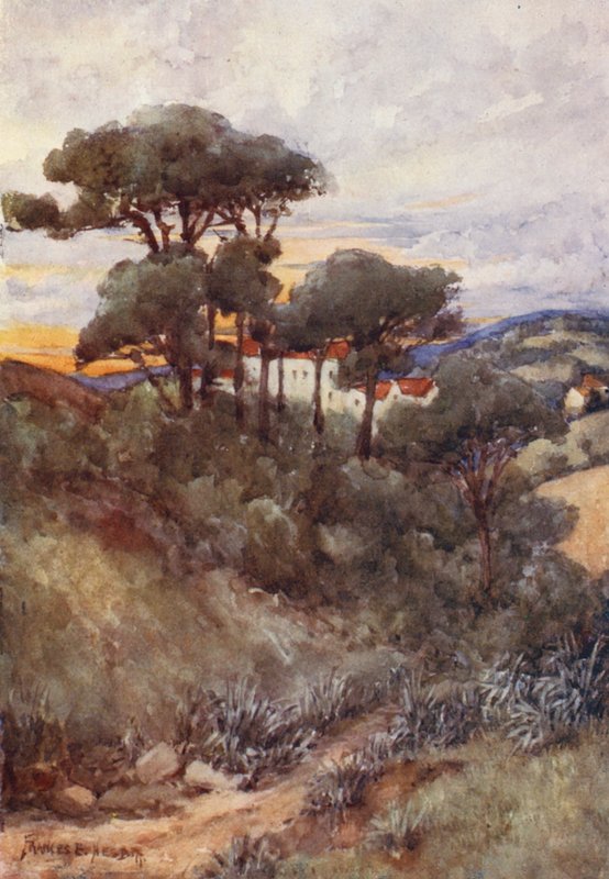 Stone Pines, Algiers (värilitro) tekijältä Frances Nesbitt