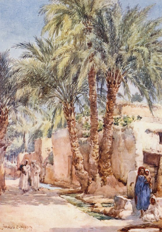 The Palm Village (värilitro) tekijältä Frances Nesbitt