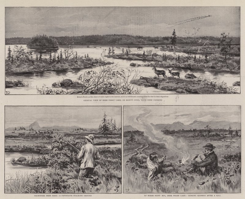 Maanviljely ja urheilu Newfoundlandissa tekijältä Frank Dadd