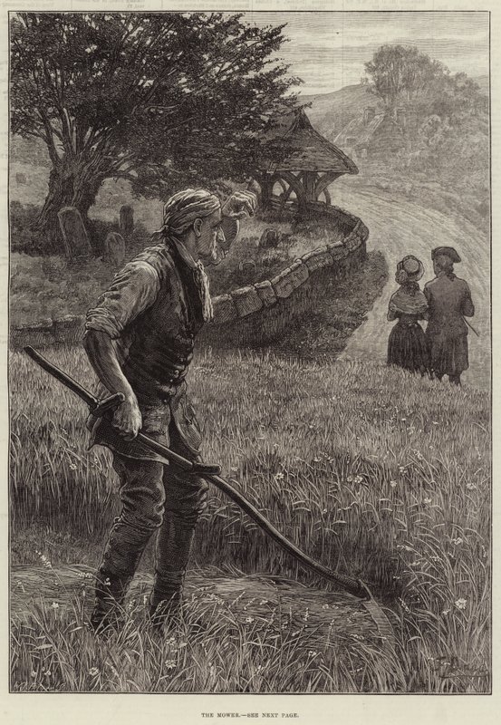Ruohonleikkuri tekijältä Frank Dadd