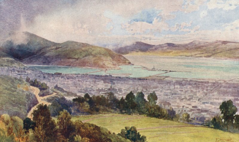 Uusi-Seelanti: Dunedin (värilitra) tekijältä Frank H Wright