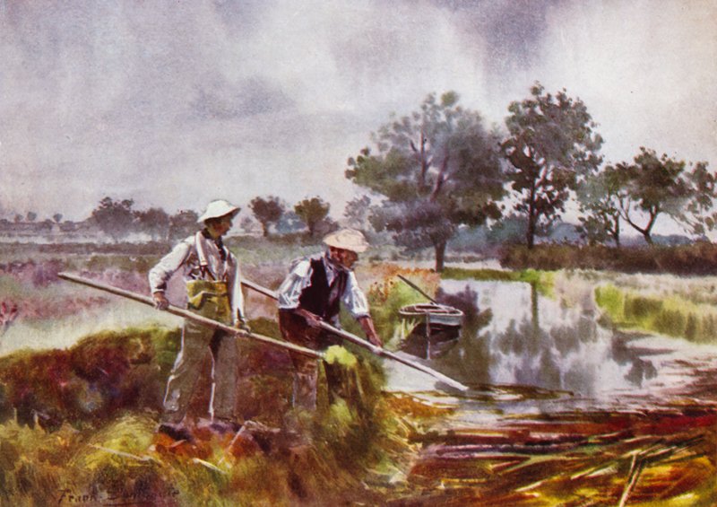 Norfolk Broads: Marshmen Weed-Lifting tekijältä Frank Southgate