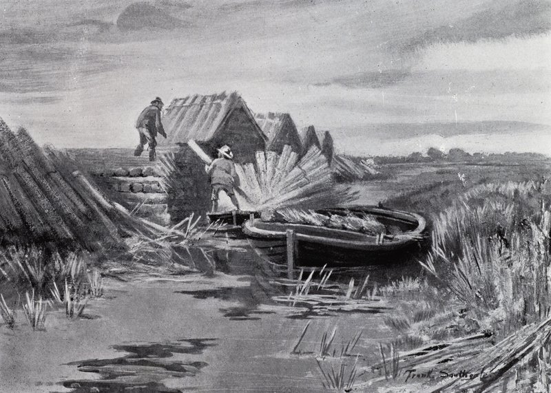 Norfolk Broads: Reed-stacking (litho) tekijältä Frank Southgate