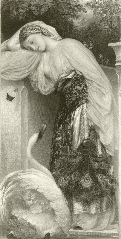 Odalisko tekijältä Frederic Leighton