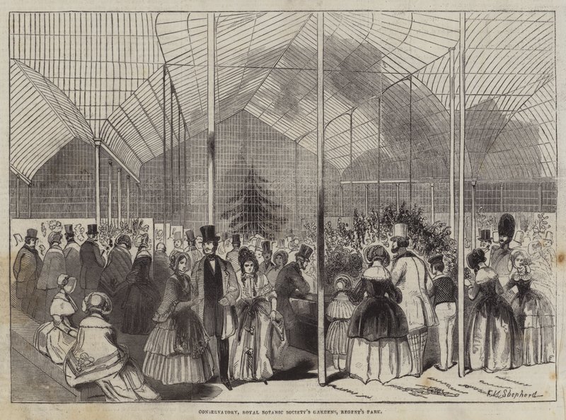 Konservatorio, Royal Botanic Society