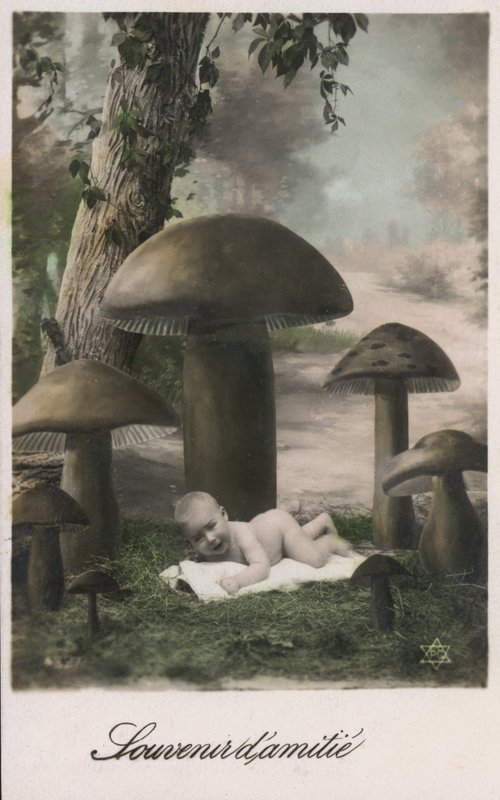 Vauva sienilaastarina tekijältä French Photographer