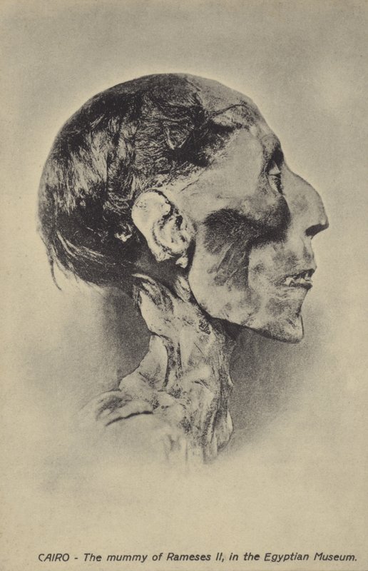 Ramses II:n muumio tekijältä French Photographer