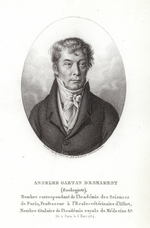 Anselme Gaetan Desmarest tekijältä French School