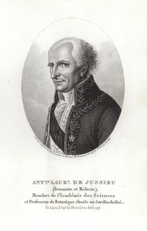 Antoine Laurent de Jussieu tekijältä French School