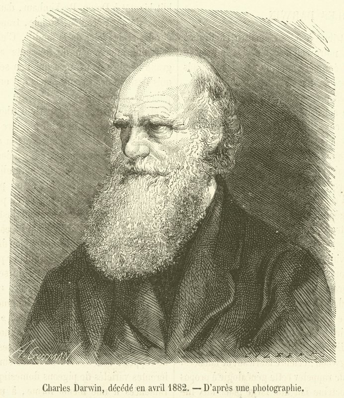 Charles Darwin, decede en avril 1882 (kaiverrus) tekijältä French School