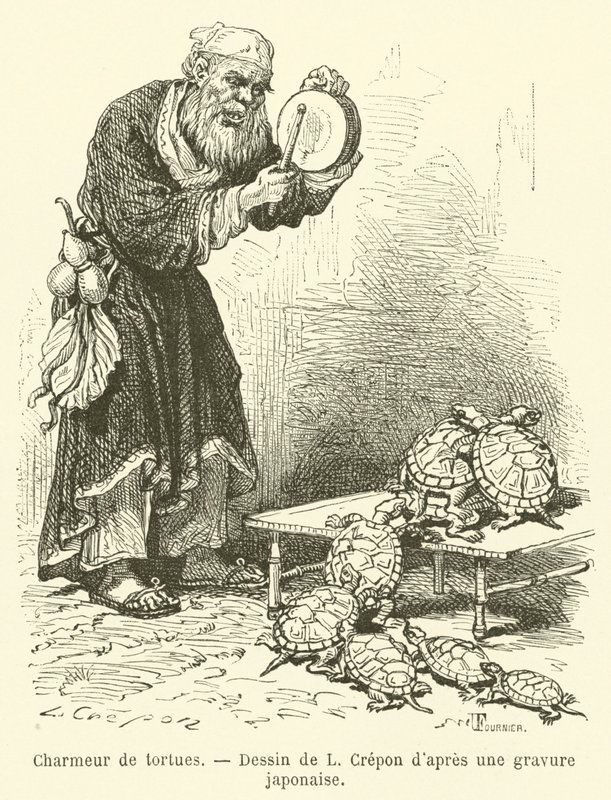 Turtle Charmer (kaiverrus) tekijältä French School