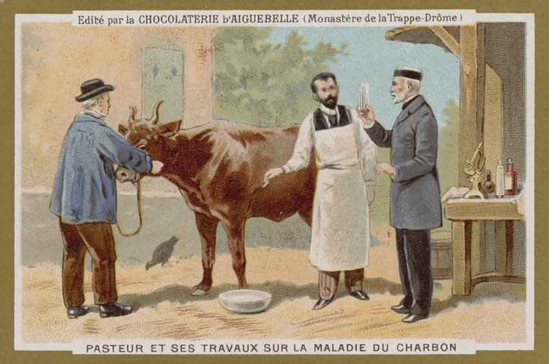 Chocolat dAiguebelle -kauppakortti tekijältä French School
