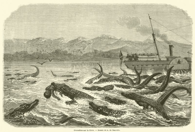 Crocodiles on the Chire (kaiverrus) tekijältä French School