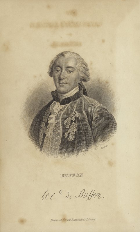 Georges-Louis Leclerc, Buffonin kreivi tekijältä French School