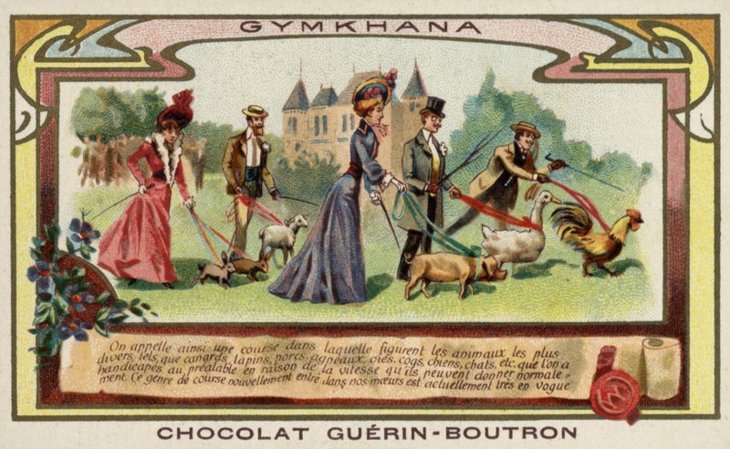 Gymciana (kromoliitti) tekijältä French School
