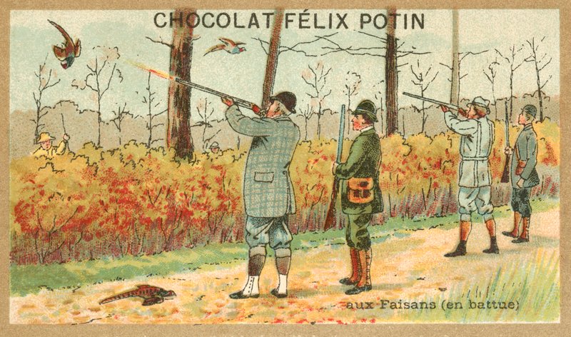 Metsästysfasaani (chromolitho) tekijältä French School