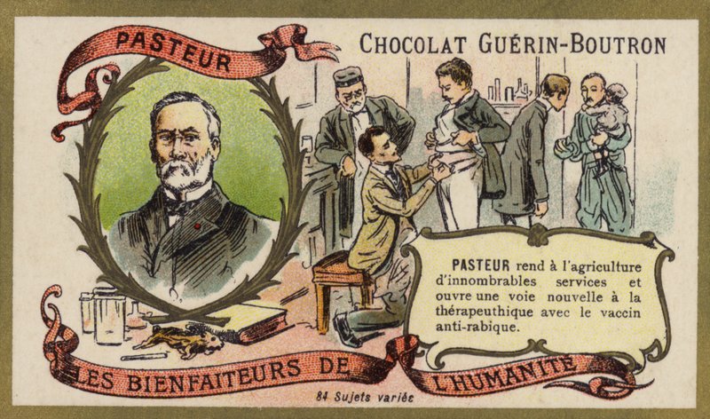 Louis Pasteur, ranskalainen kemisti ja mikrobiologi (chromolitho) tekijältä French School