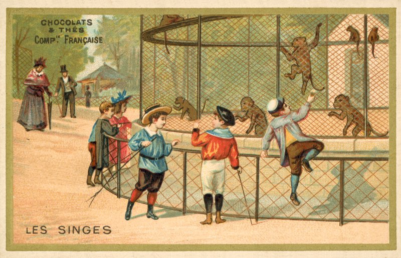 Apinat (chromolitho) tekijältä French School