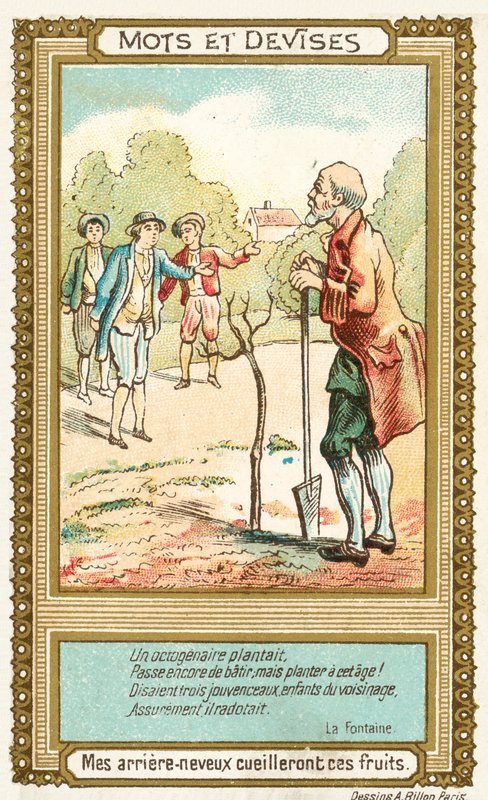 Isoveljenpoikani korjaavat nämä hedelmät (chromolitho) tekijältä French School